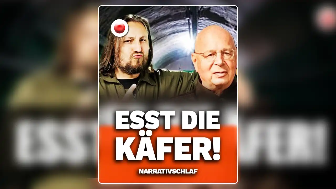 Esst die Käfer! - Narrativschlaf post image