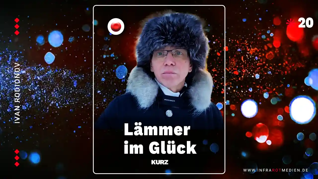 Lämmer im Glück post image