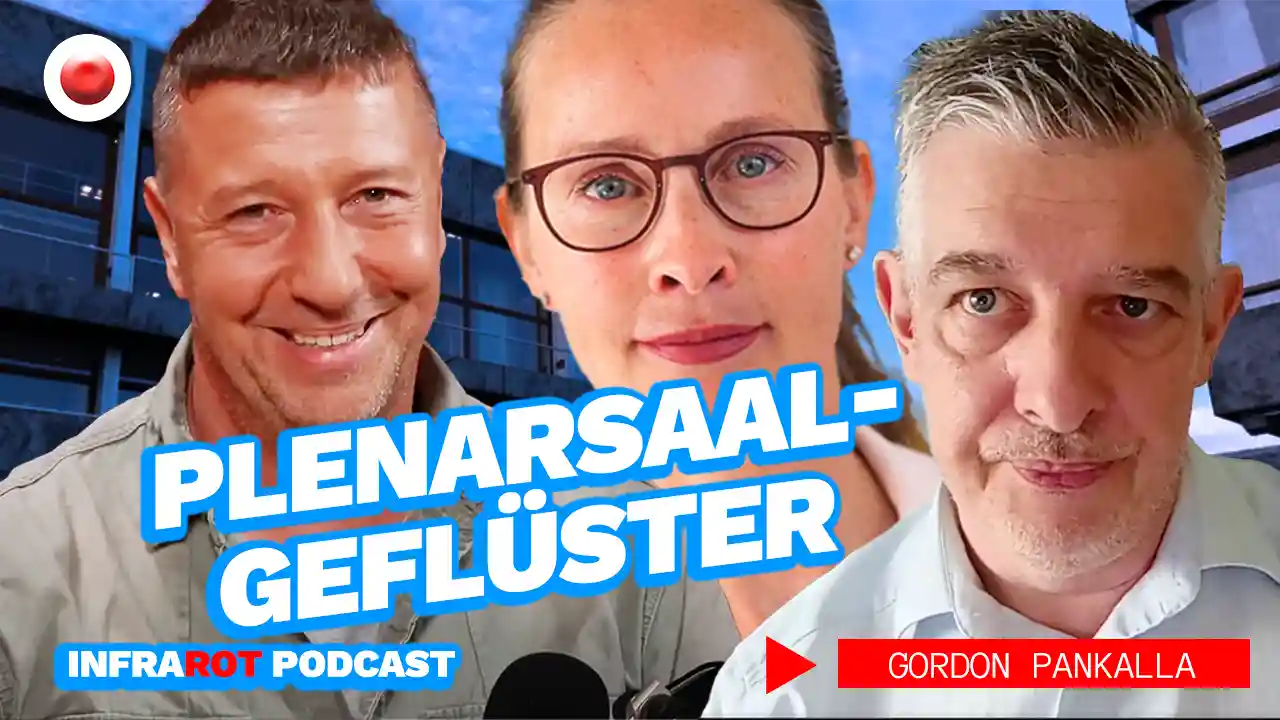 Plenarsaalgeflüster - Politik hinter den Kulissen | InfraRot PODCAST post image