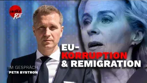 Klare Sicht: Petr Bystron MEP - Remigration, Misstrauensvotum & Korruption in der EU post feature image