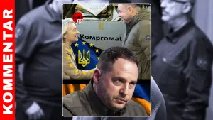 Schwanz, der mit dem Hund wedelt post feature image